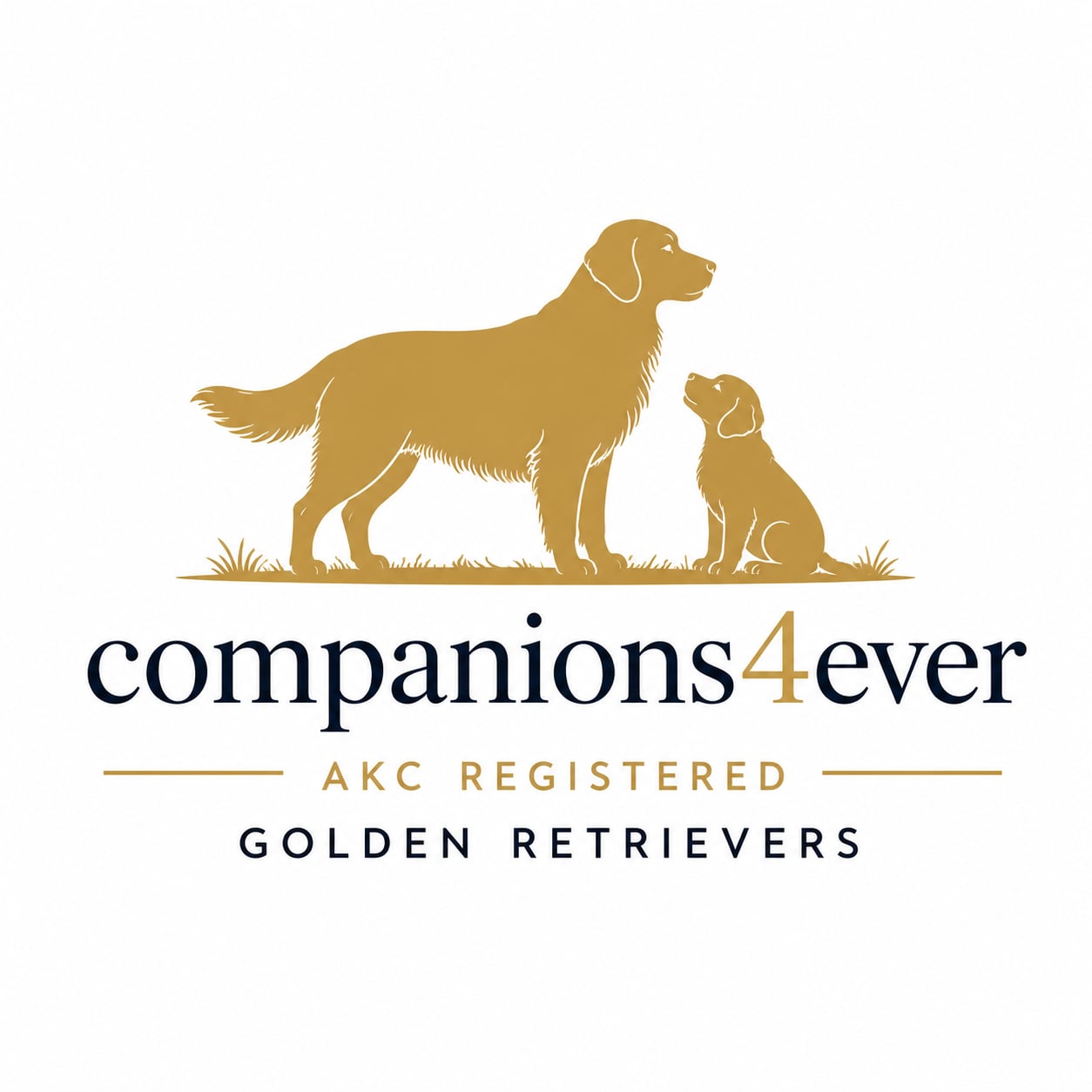Companions4ever