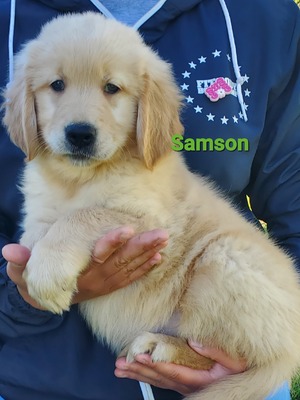 Samson