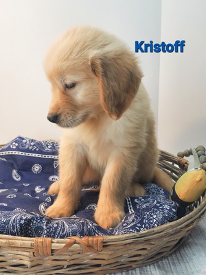 Kristoff