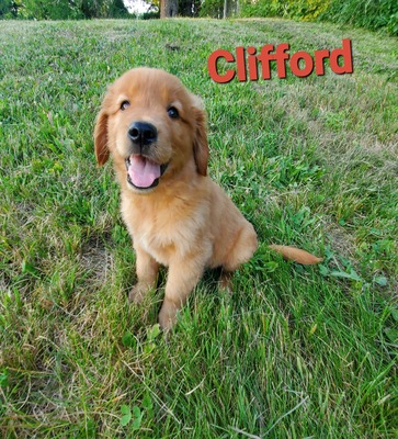 Cliffford