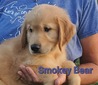 Smokey Bear